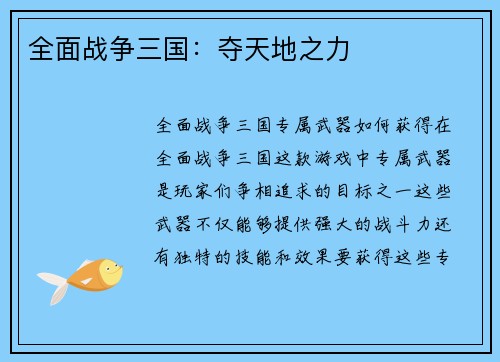 全面战争三国：夺天地之力